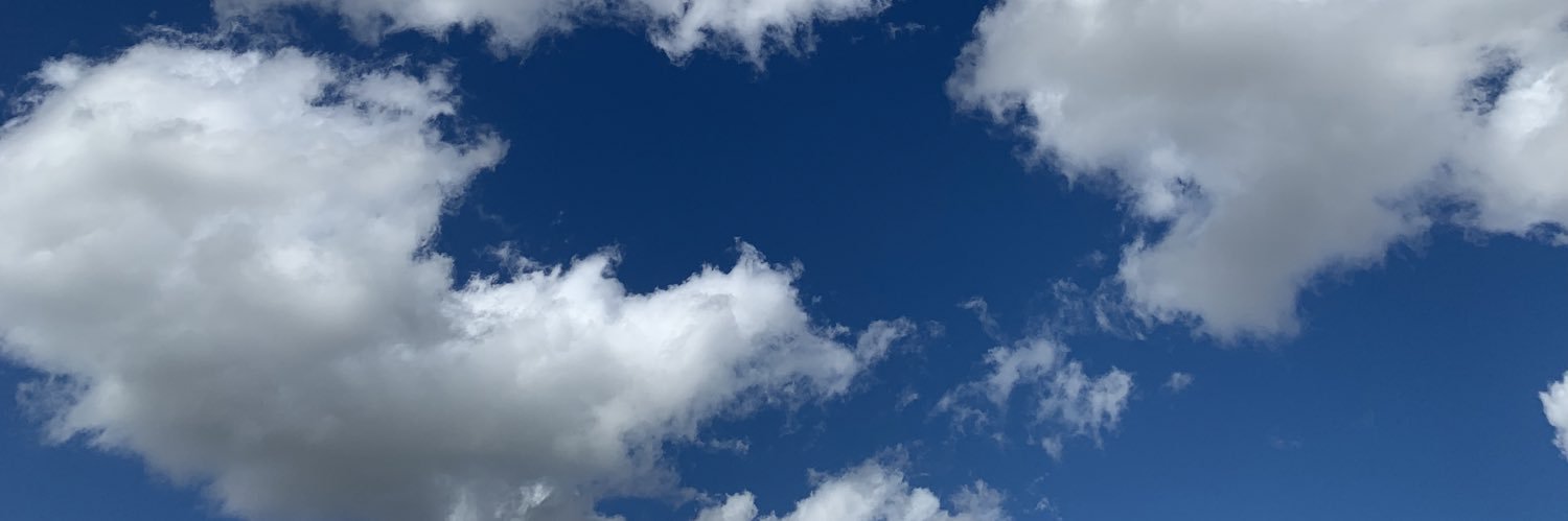 MelMarkofski's profile banner image