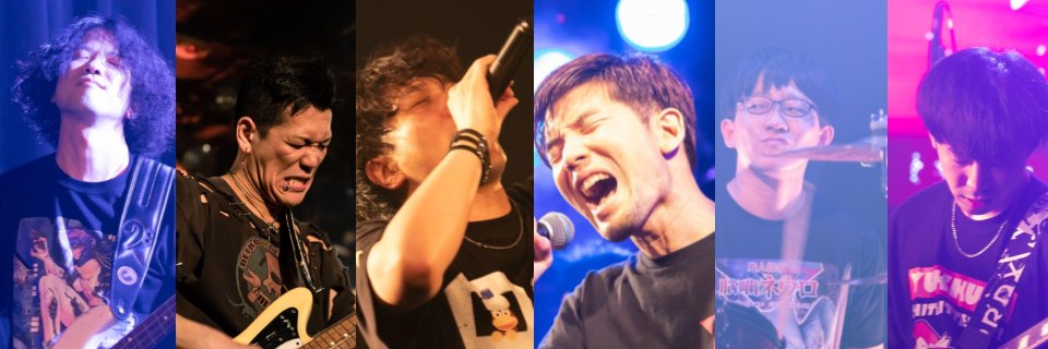 sen_wingens's profile banner image