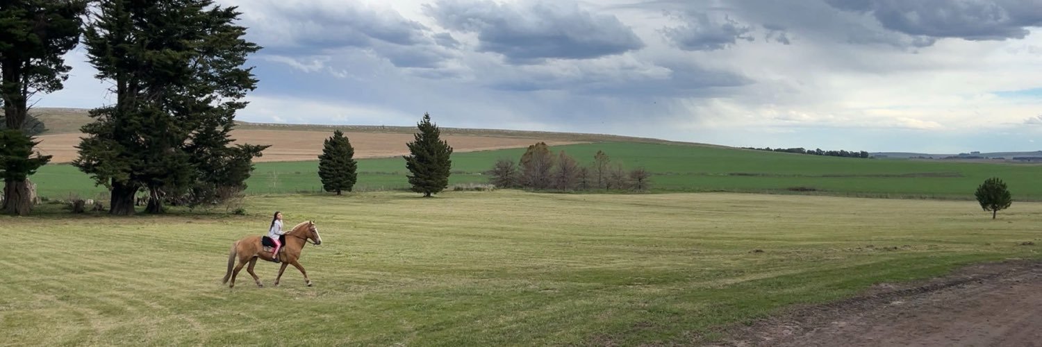 blansteinlara's profile banner image