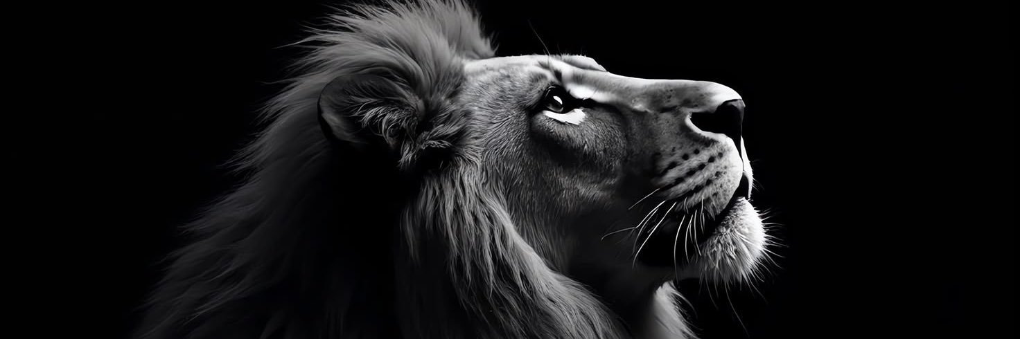 ItsDrew502's profile banner image