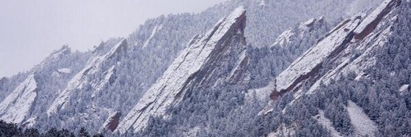 themoose Profile Banner