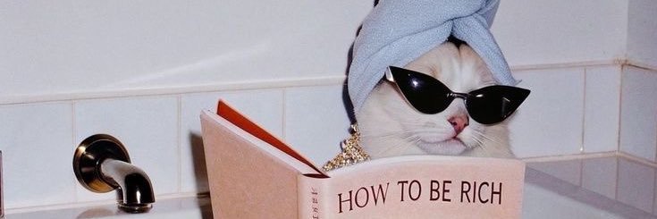 aycaadevrm's profile banner image