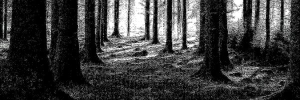 thoughtrise Profile Banner