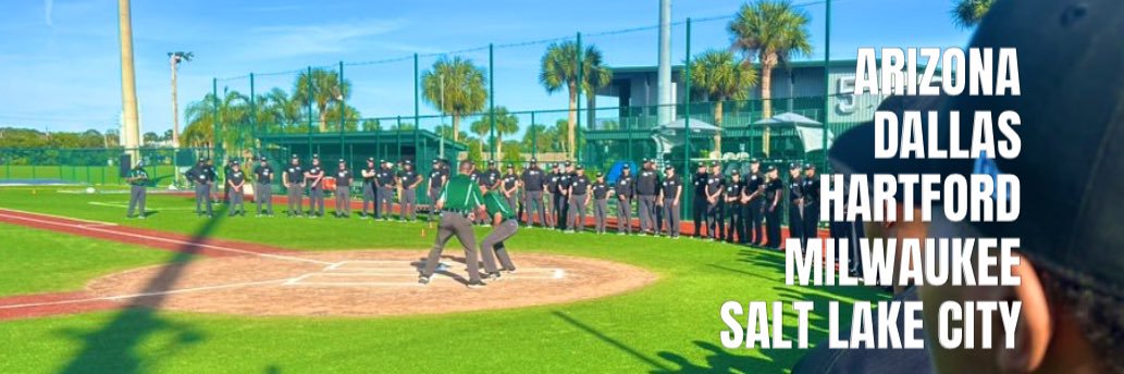 MLB Umpire Camps's banner