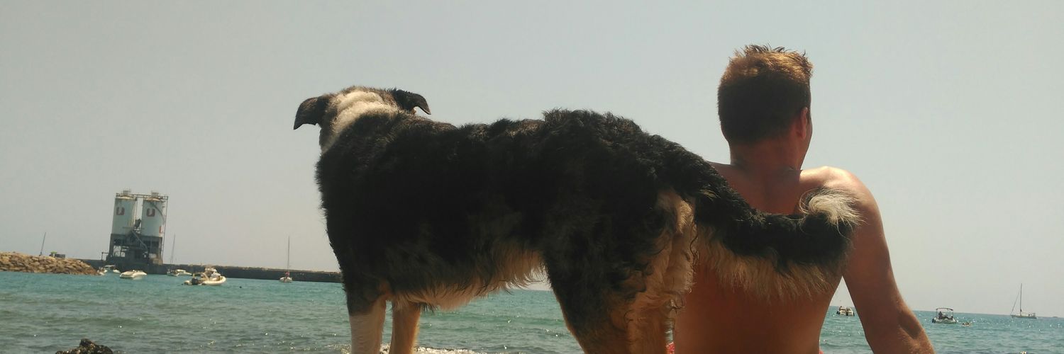 Sjordanp's profile banner image