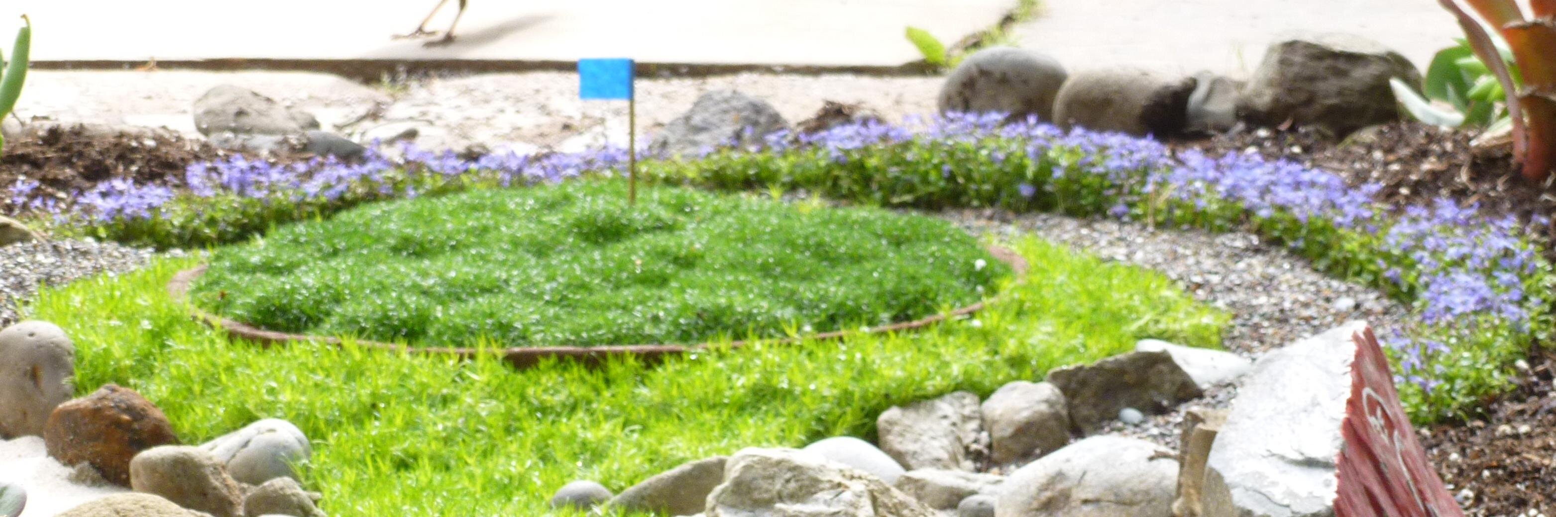 Denny North⚜️ banner