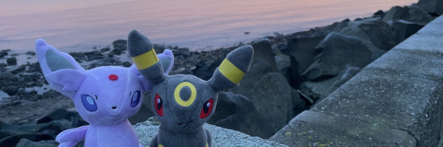 SEE PINNED 📌🦈 banner