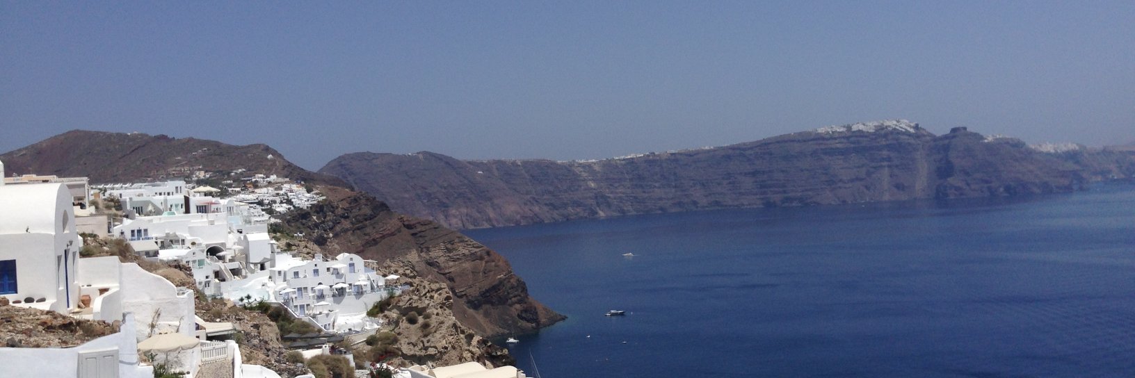 Carmela Petagna banner