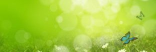 yingki86's profile banner image