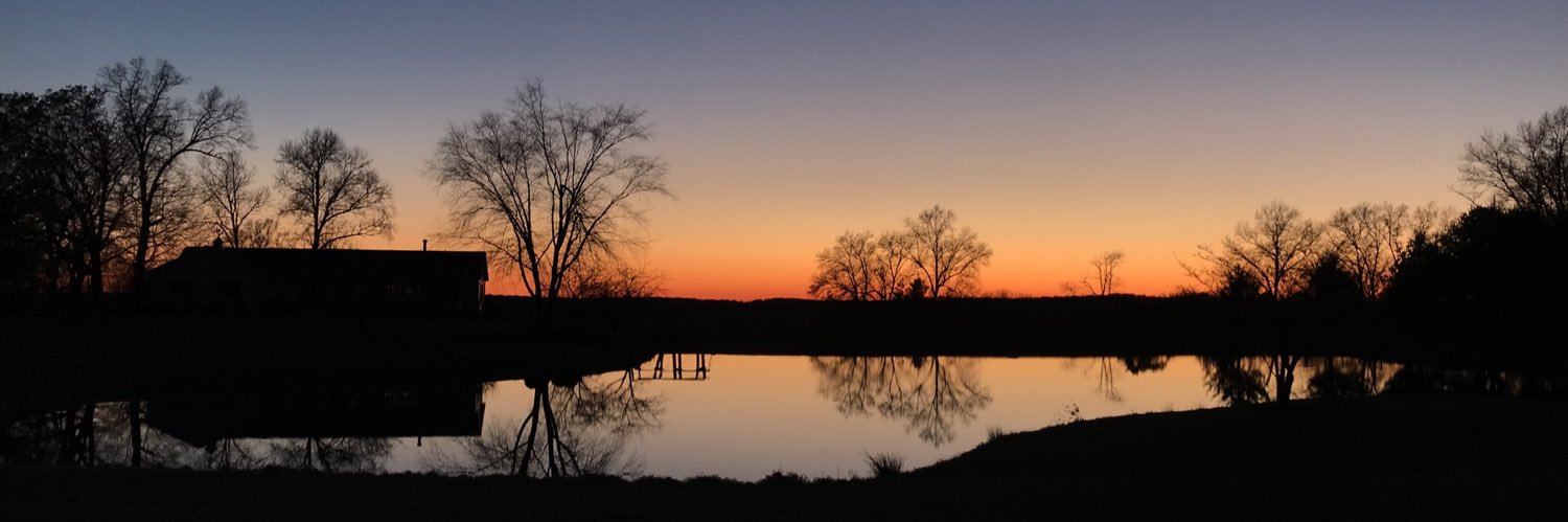 DillonBirch_'s profile banner image
