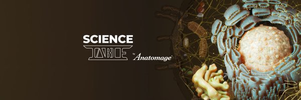 Anatomage Profile Banner
