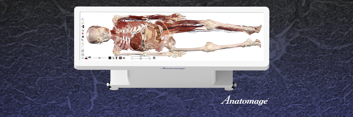 Anatomage banner