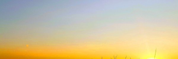 mattions Profile Banner