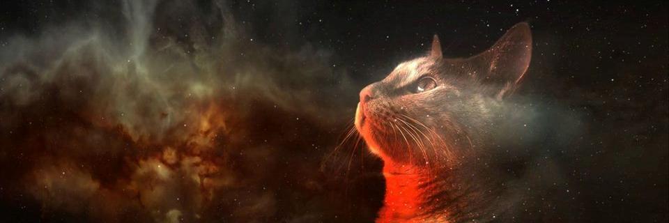 Michell_GS's profile banner image