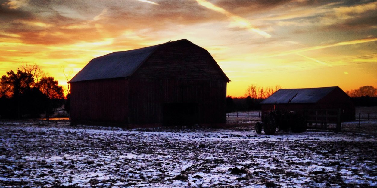Shelby_Mo's profile banner image