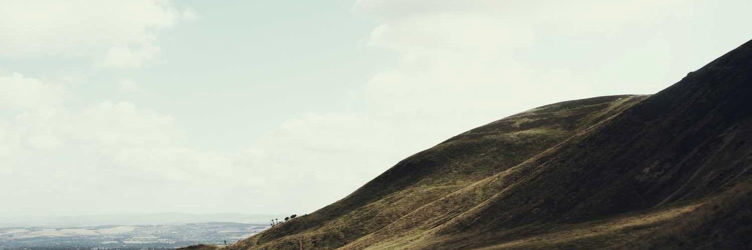 omersalamony's profile banner image