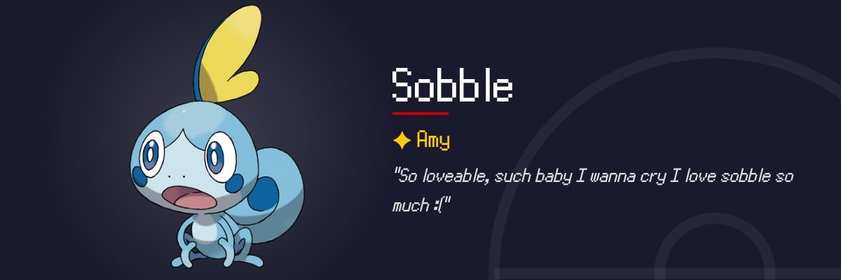 Amythest banner