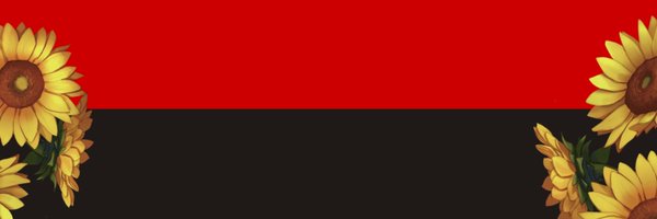 ProvedTech Profile Banner