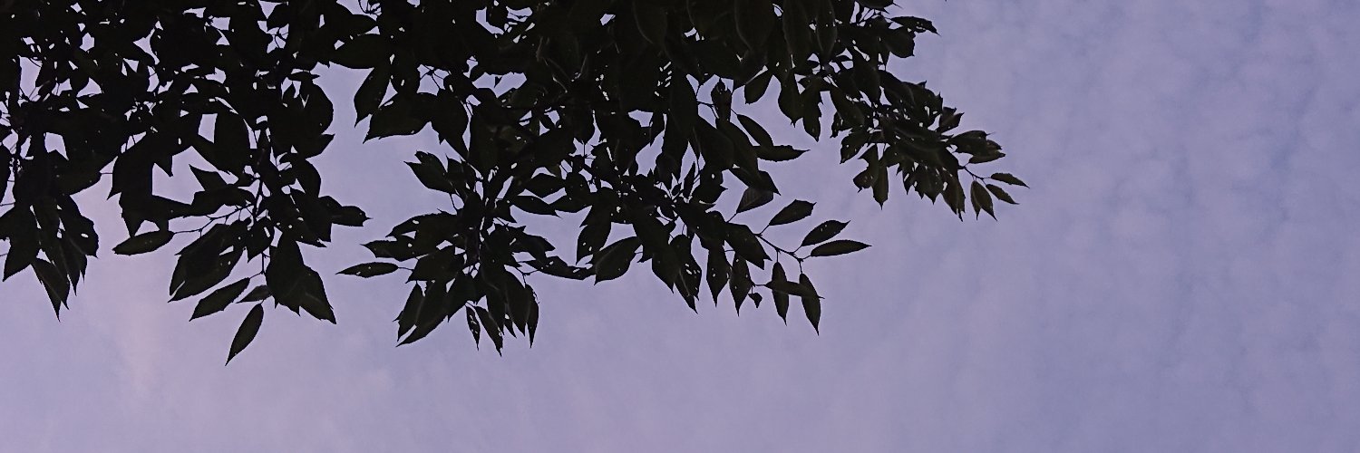 北野雪経 (studio sizma 主宰) banner