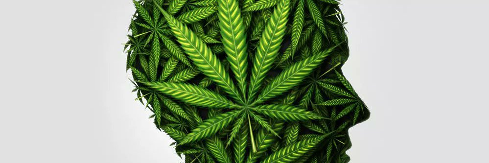 𝓛𝓸𝓻𝓭 𝓓𝓻𝓮𝔂 👑 banner