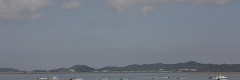 bluemingperiod's profile banner image