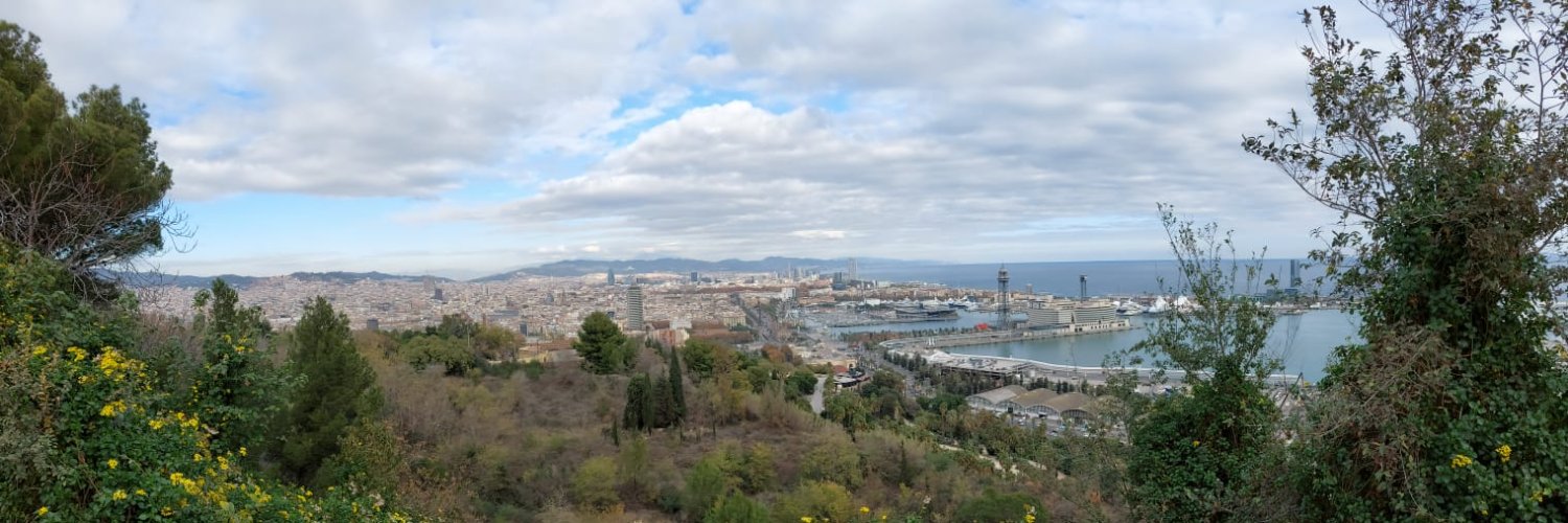 Martín banner