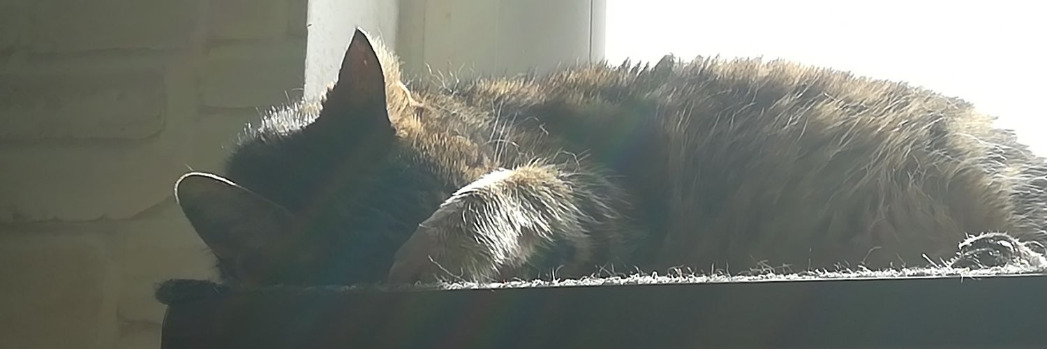 warmphilip's profile banner image