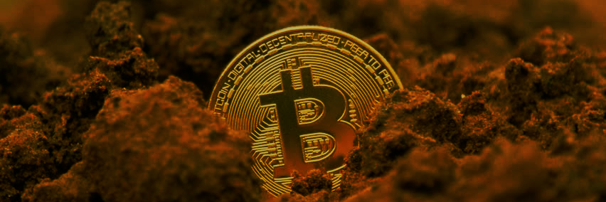 ᴀʟᴘʜᴀ banner