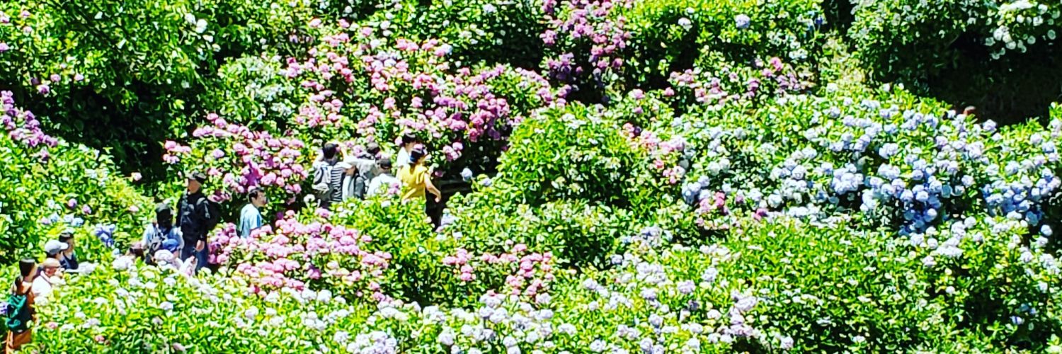 モリコロ3716 banner