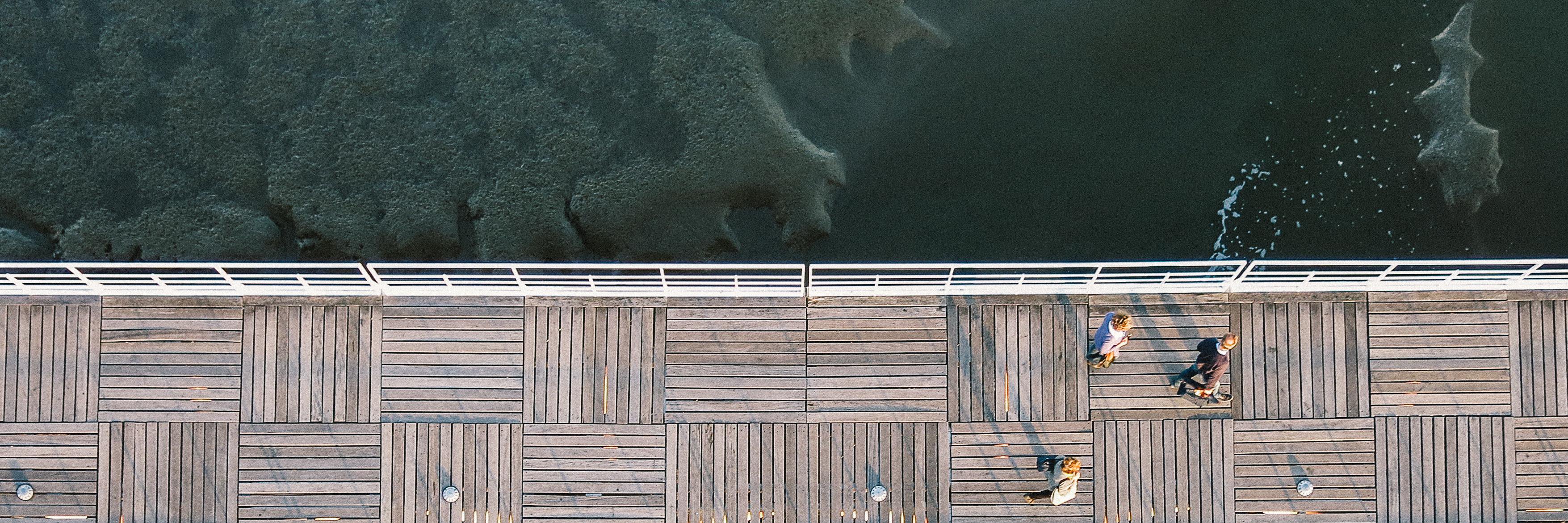 Anshumani Ruddra banner