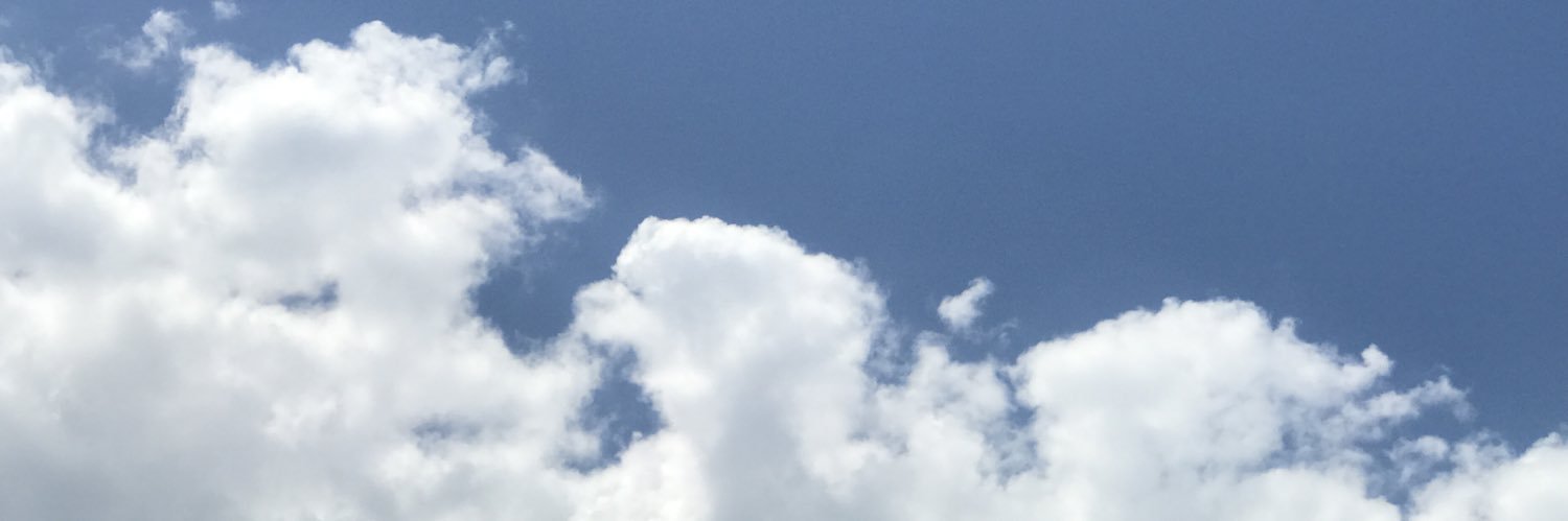 BLUESAMBY's profile banner image