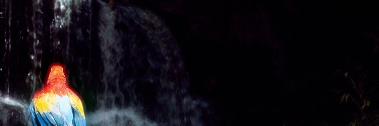 Logan Murdock's banner