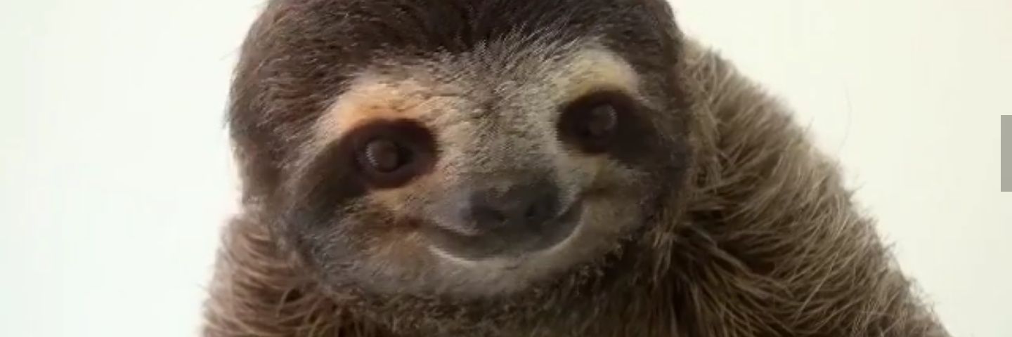 bltblt83's profile banner image