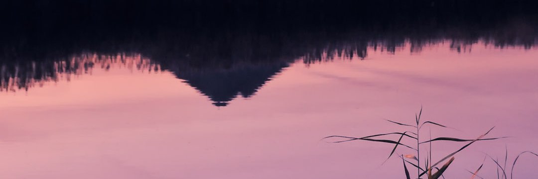 VitSylche's profile banner image