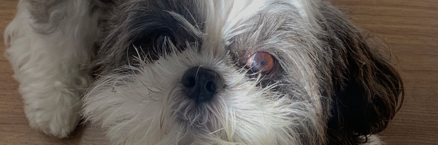 marixanaleite's profile banner image