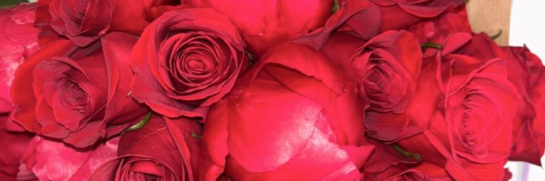 bijou💎 banner
