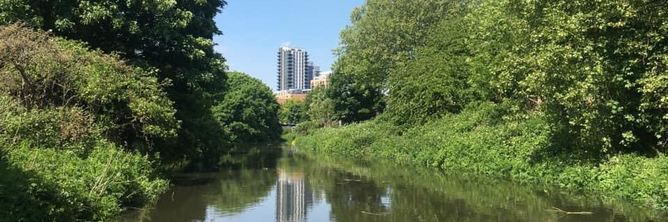 River Roding Trust banner