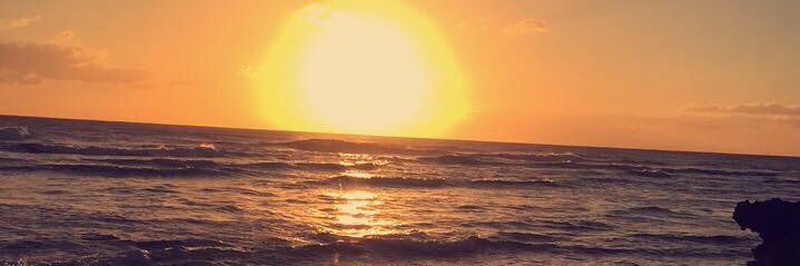 Rubysmith29487's profile banner image