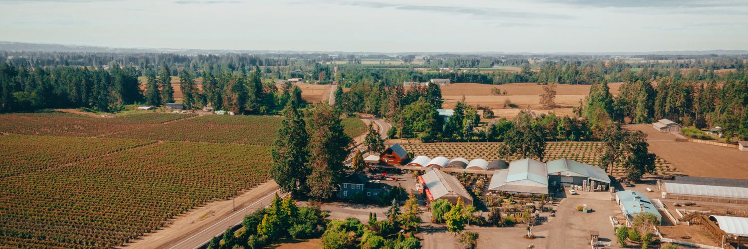 baumansfandg's profile banner image
