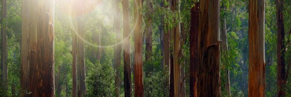 yetworth Profile Banner