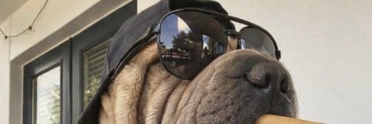hgonz67's profile banner image