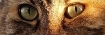 facuboveroo's profile banner image