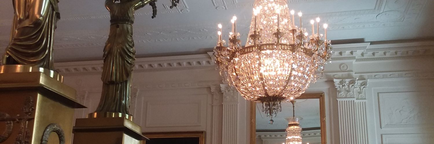 ligma ball(and socket joint)s 💀 banner