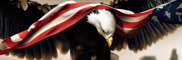 TTLAmerica Profile Banner