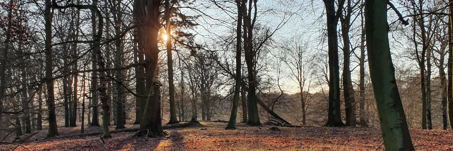 Martin Benedikt Busch banner