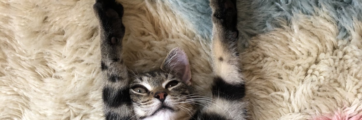 laurrrmutay's profile banner image