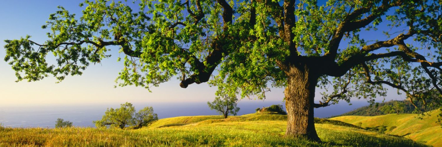 visitmorganhill banner