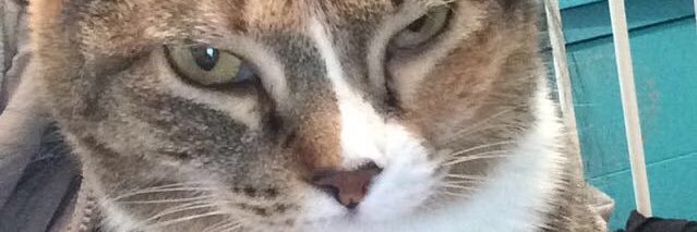 ema_stoned's profile banner image