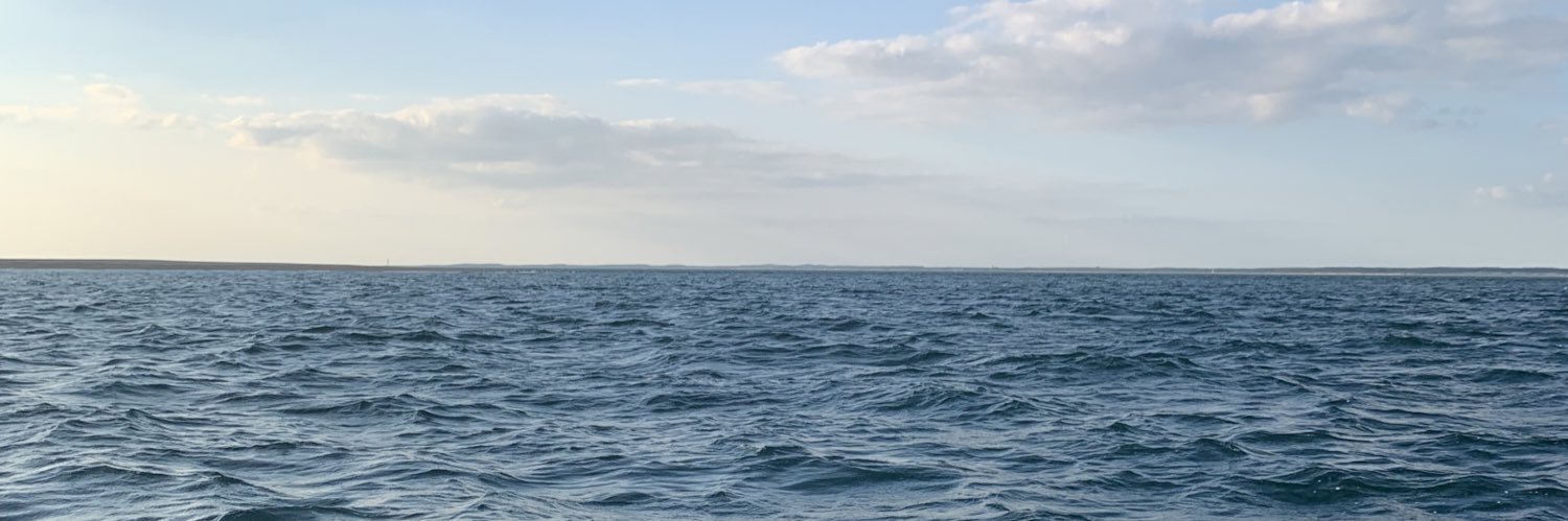 Tardozito 🤯 banner