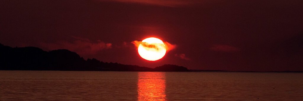 reddoblado's profile banner image